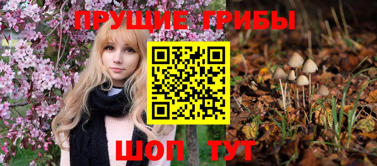 Фрязино  Псилоцибиновые грибы Psilocybe  купить  цена  Вход с VPN 